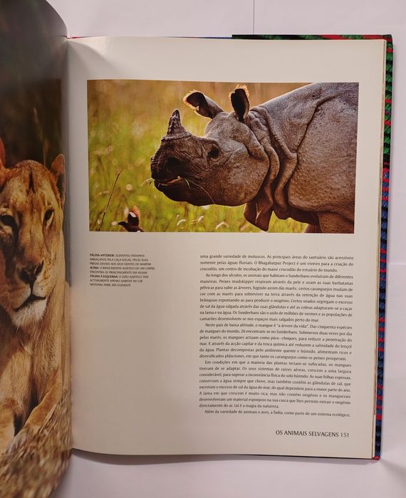 Autografado: Índia: Splendor Intemporal