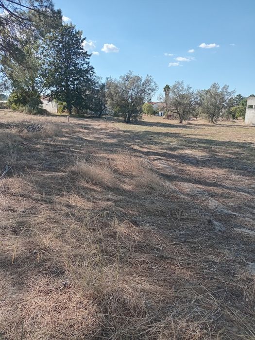 Terrenos venda do Alcaide  ,6mil euros de entrada