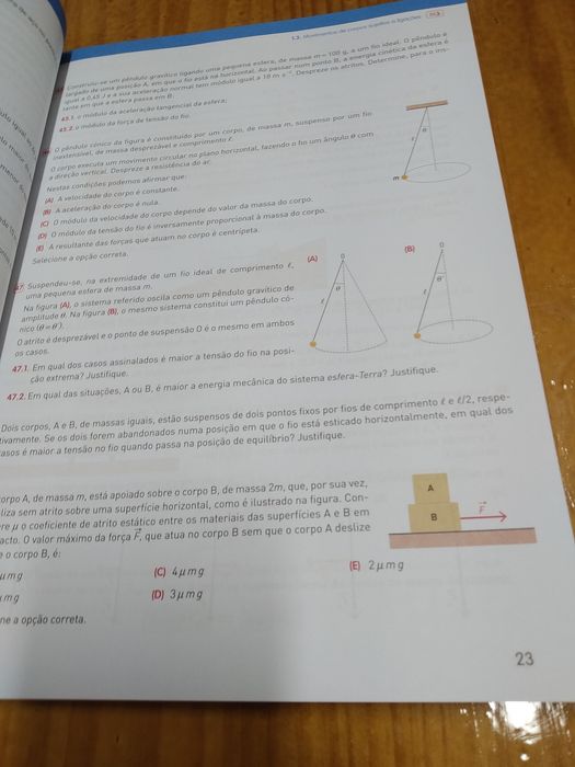 Caderno de atividades eu e a física 12 ano