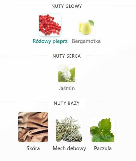 Zapach inspirowany Bottega Veneta Bottega Veneta Senzi Perfumes P222 Kup 2 + 1 GRATIS