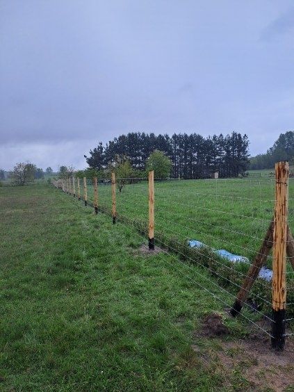 Ogrodzenie budowlane i leśne Siatka leśna