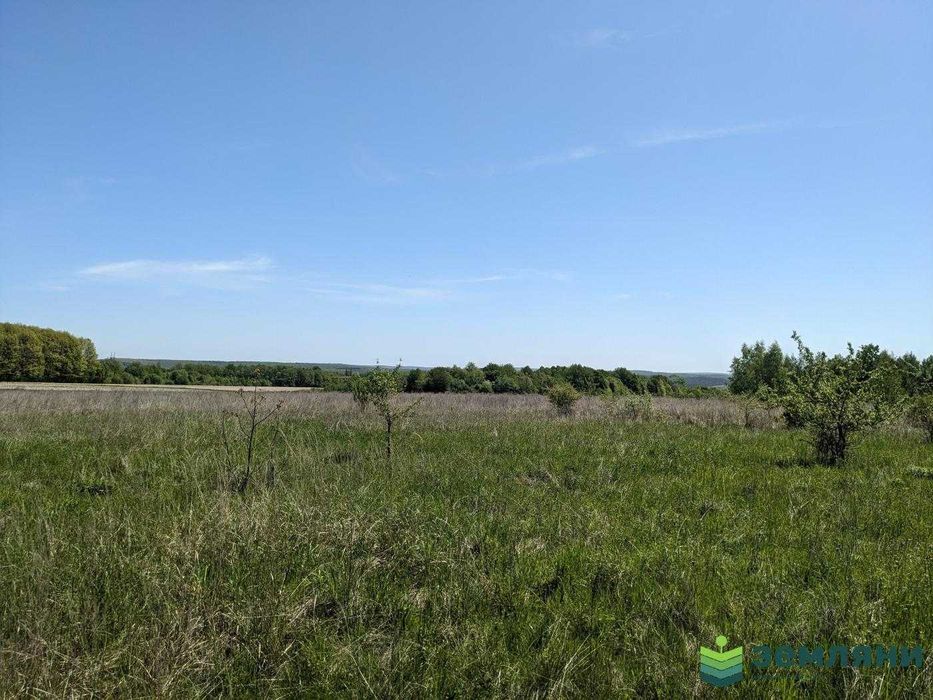 Продається земельна ділянка 12 соток під будівництво в с.Колодіївка (5)