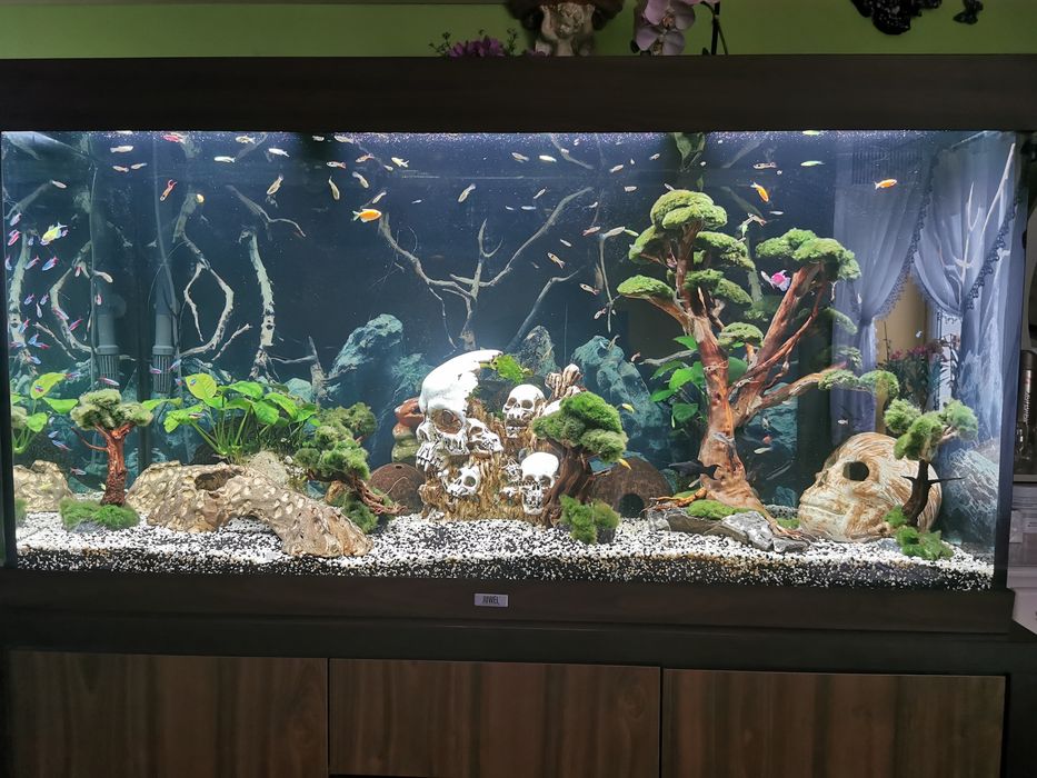 Akwarium juwel rio 350 Wzgórze czaszek