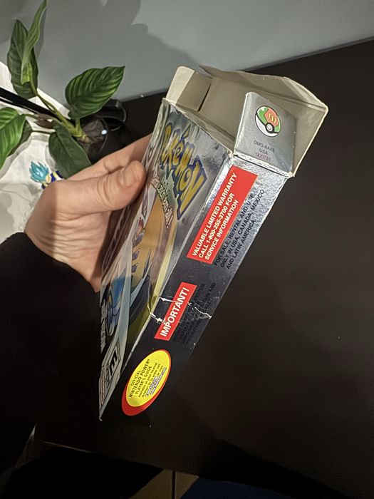 Pokémon Silver gameboy color