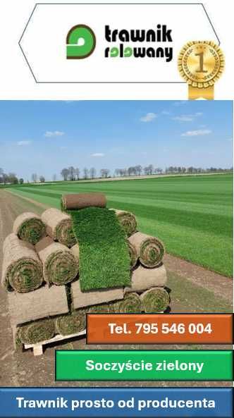 Trawa w rolkach, trawa z rolki 1 gatunek Premium