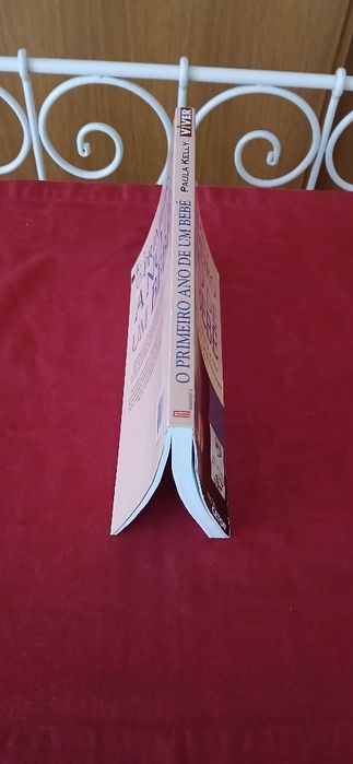 O Primeiro Ano do Bebé de Paula Kelly