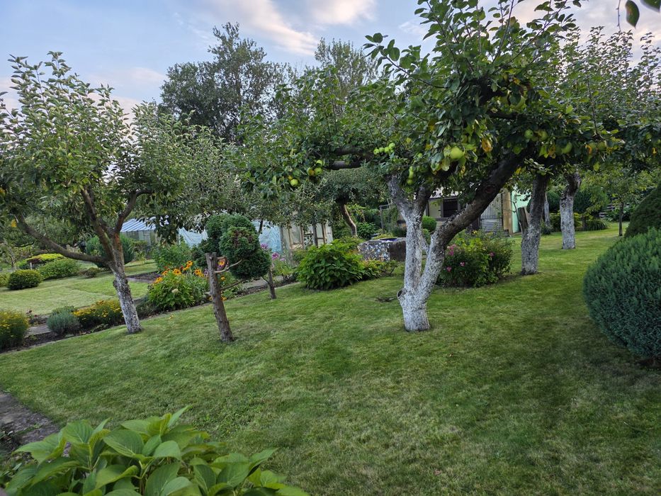 Działka ROD ASTER – 550 m², murowany domek, prąd, woda - Widok 3