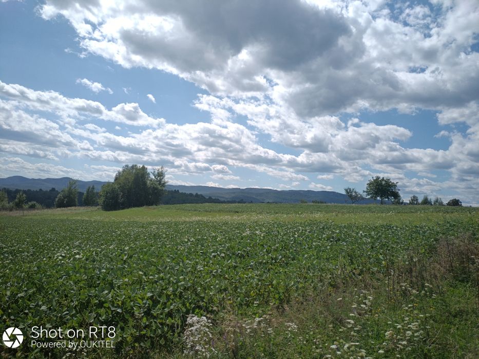 продам земельну ділянку площею 0,1400 га с. Вербовець