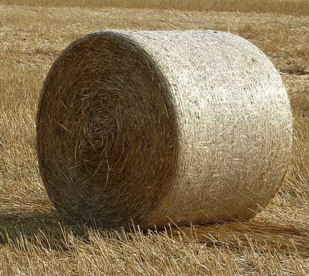 Bale słomy pszennej