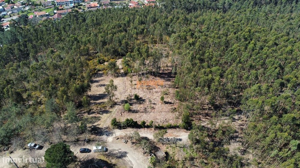 Land for Sale in Mire de Tibães, Braga
