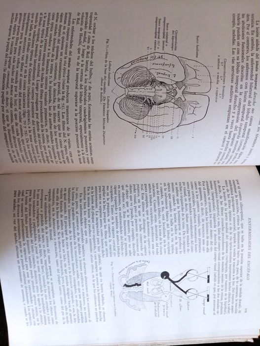 Medicina interna: compendio práctico de patología médica y ..." 1944