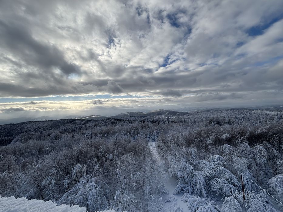 Східниця-Відпочинок в Карпатах. Оренда. Здам.Котедж з басейном.