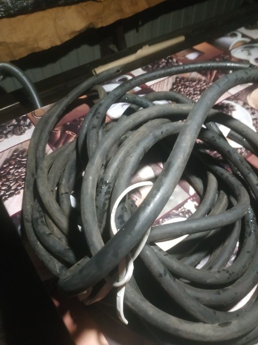 Шланг толстотелый