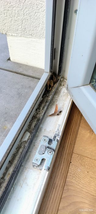 Mycie okien drobne prace porządkowe