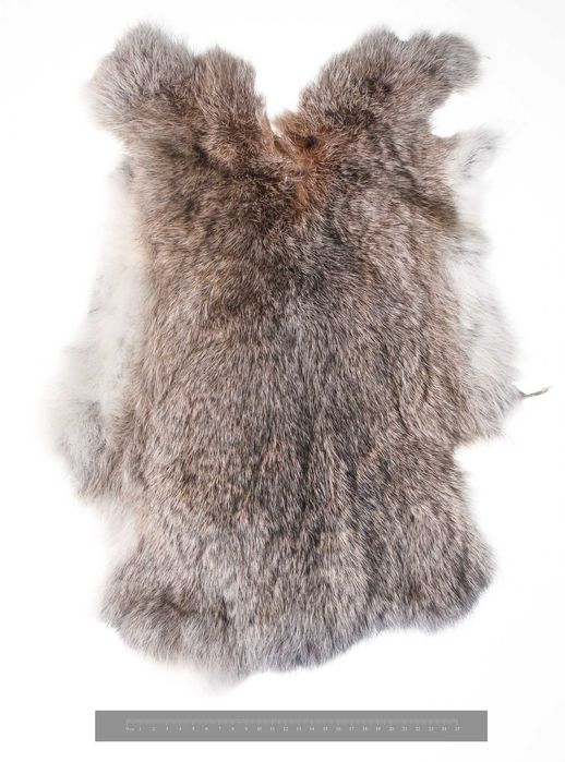 Skóra, skórka, futro, skórki, skóry z królika, królicze