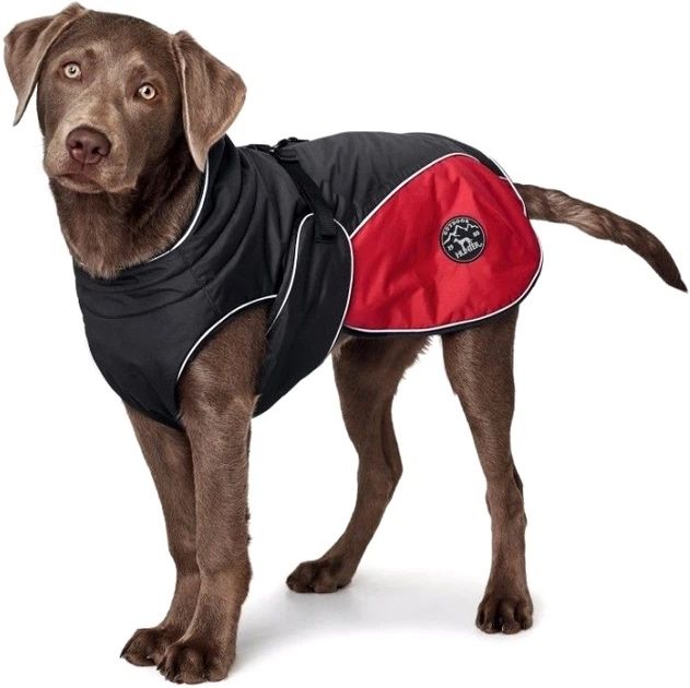Куртка Hunter Dog Coat Uppsala Cozy 40 см Anthracite/Red