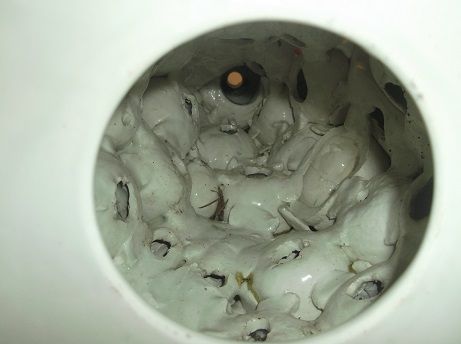 Peça faiança das Caldas da Rainha