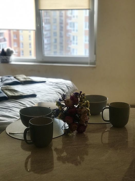 Подобово посуточно, квартира-студія. Центр. Недалеко озеро. Власник.