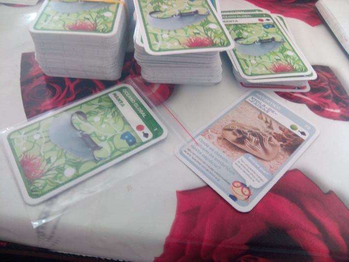 Super Animais 2 - Coleção Pingo Doce