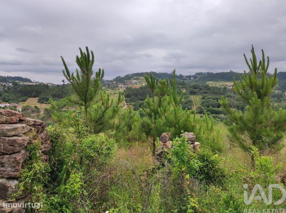 Terreno para construção em Colmeias e Memória de 116,00 m2
