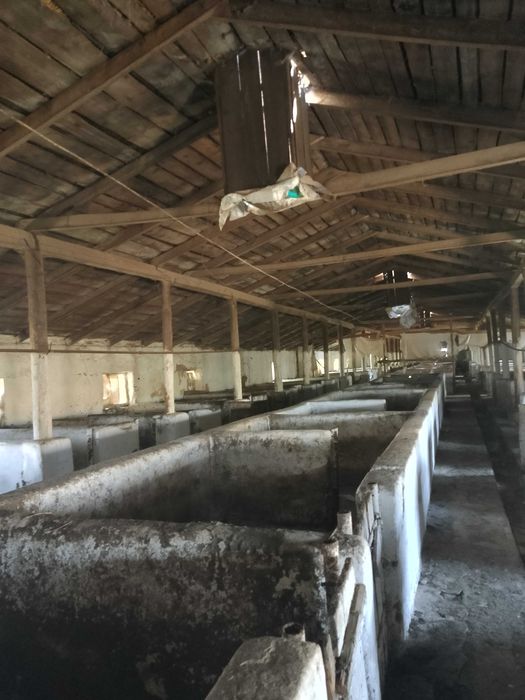 С/Х ферма(Свиноферма)