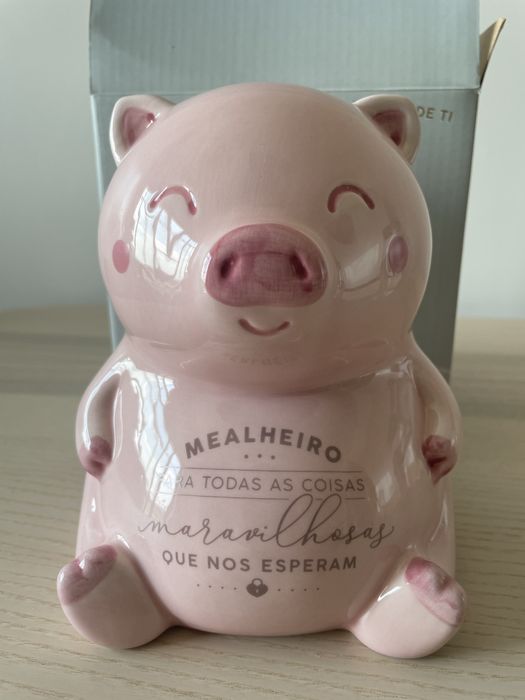 Porco Mealheiro Mr Wonderful - Novo