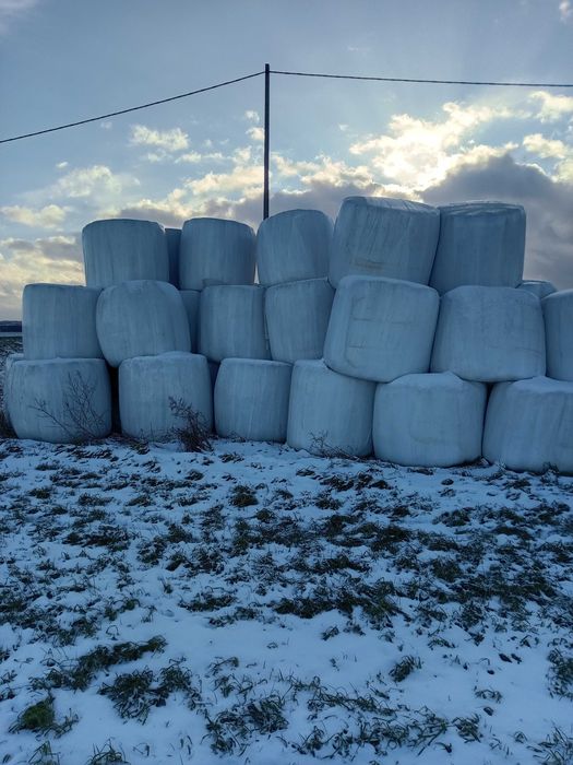 Sprzedam sianokiszonkę