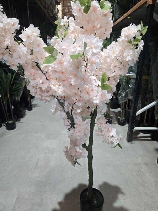 Flores cerejeiras rosinhas lindissimas para entregas