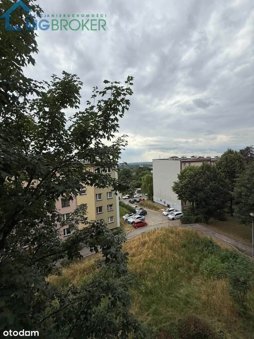 Jaworzno- Krzywa/M3-świetny układ/TOP Lokalizacja/ Od zaraz/OKAZJA