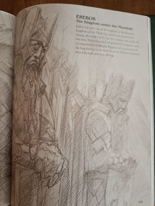 Senhor dos anéis guia ilustrações