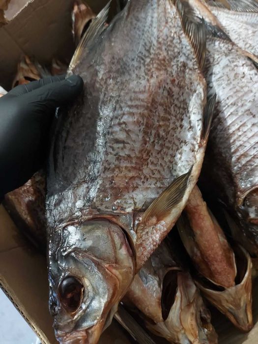 Лящ в'ялений, ікряний 100%, 400-600 гр/шт. Ціна вказана за 1 кг.