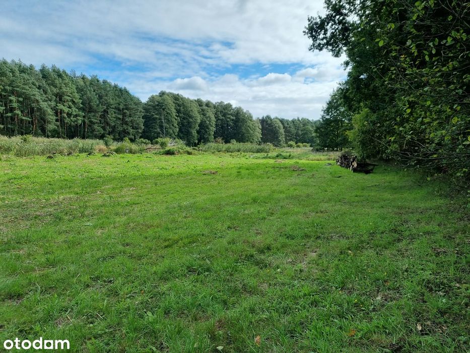 Działka 3000m² z linią brzegową - szlak kajakowy Obra - Ansicht 2