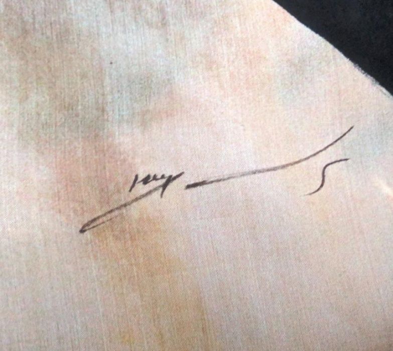 Pintura Cavalo Seda 3