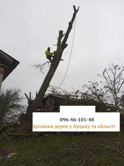 Видалення зрізання спил обрізка кронування валка дерев