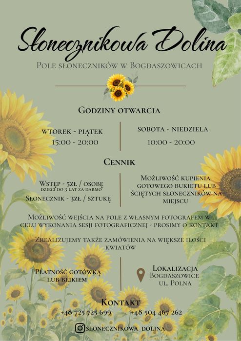 Słonecznik ozdobny