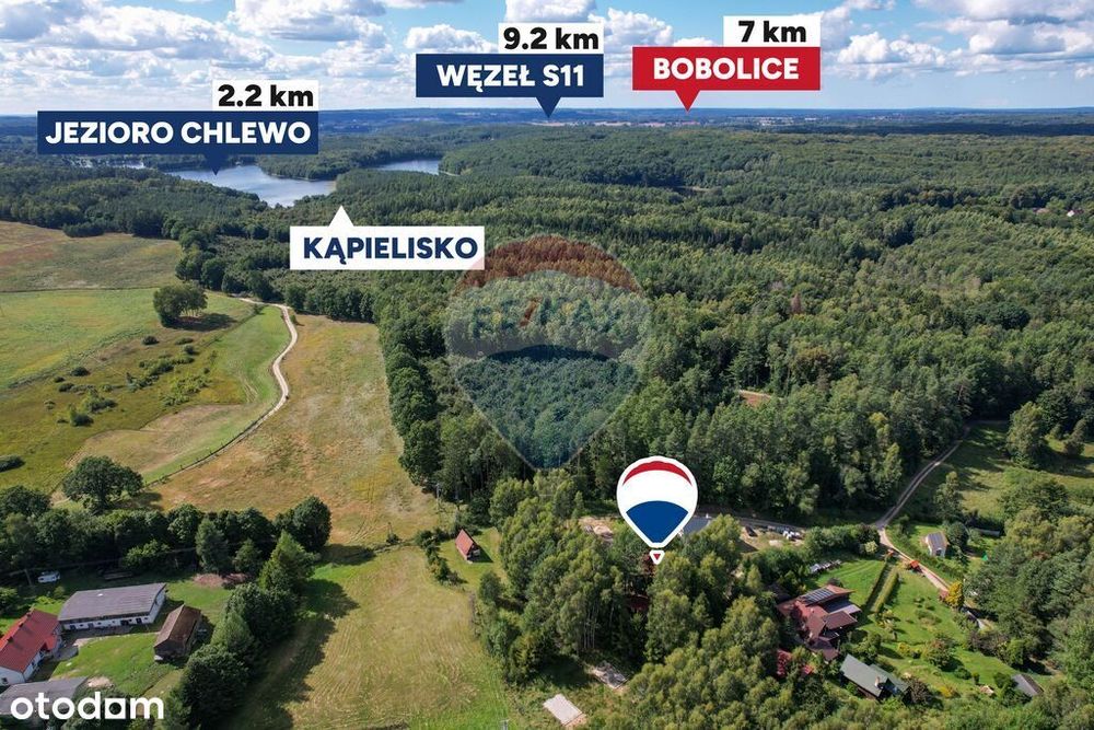 Dom – Porost - Widok 5