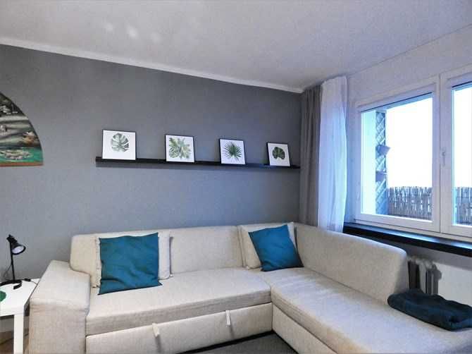 Duża kawalerka, pet friendly, ul. Sacharowa 67, BRAK PROWIZJI - Widok 4