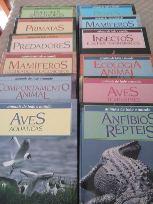 Animais de todo o mundo