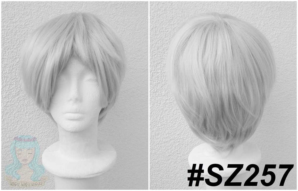 Szara krótka męska peruka z grzywką szary krótki męski wig cosplay