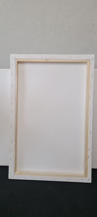 Розпродаж Холстів (полотна, холсти) на підрамнику