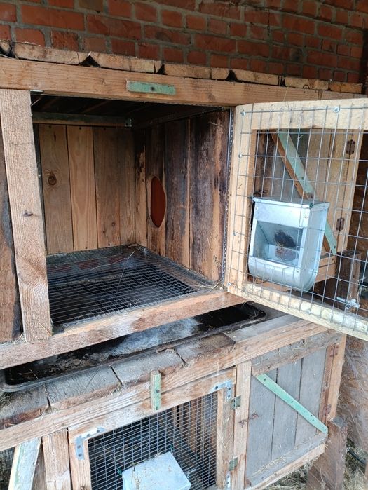 Клетки для кроликов