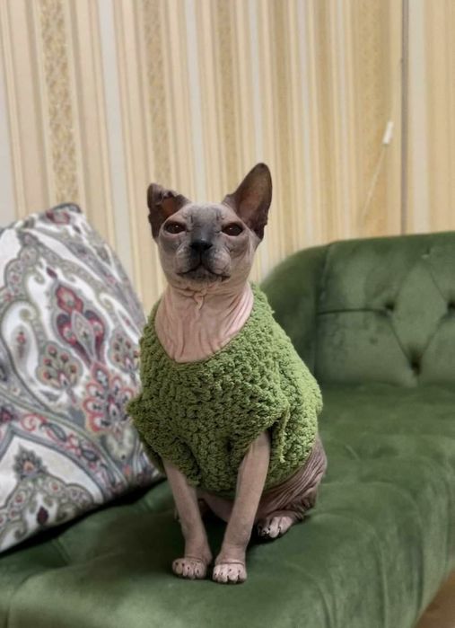 Одежда на собак, котов, сфинксов