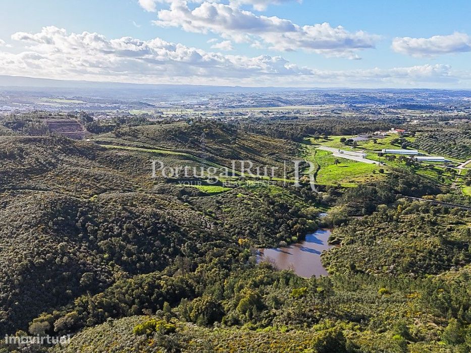 Herdade com 227 ha junto à Albufeira de Castelo de Bode