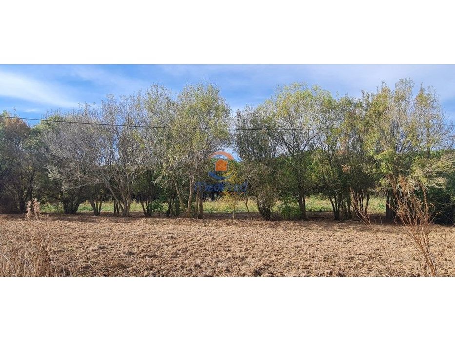 Terreno agrícola 6.000 m2 | A dos Cunhados, Torres Vedras