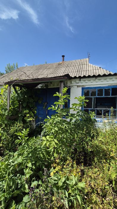 Будинок під реконструкцію. Мала вільшанка
