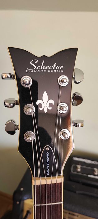 Profesjonalna Gitara Elektryczna