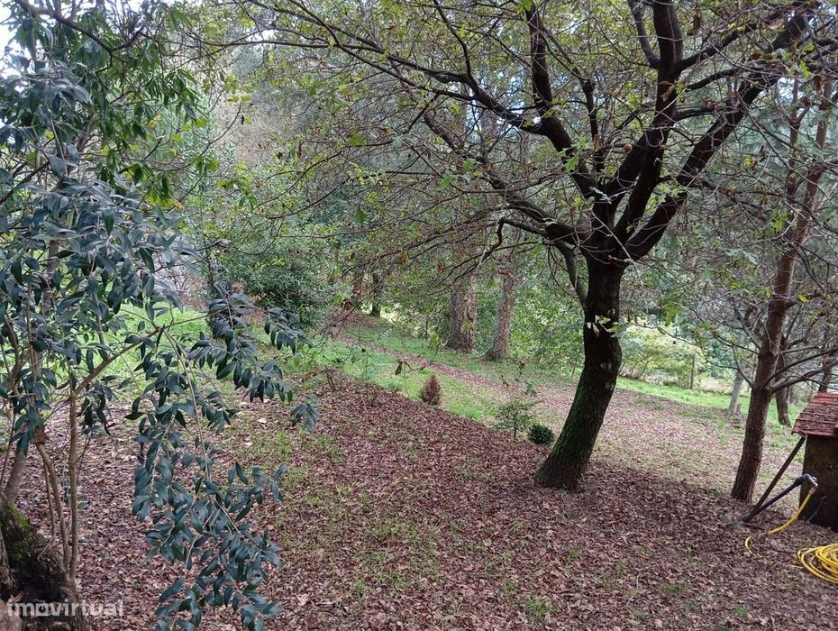 Terreno com viabilidade de construção em Palmaz