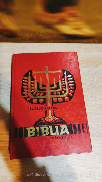 Ilustrowana Biblia