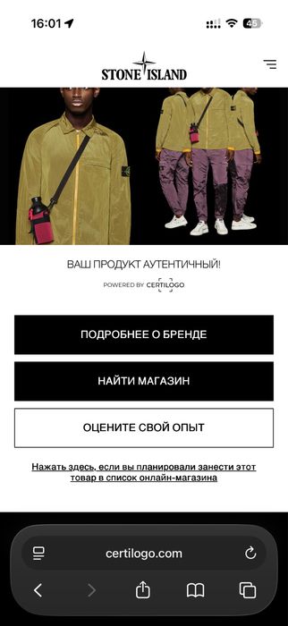 Худи Stone Island