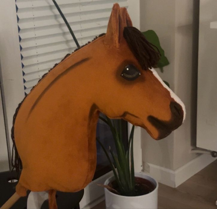 Hobby horse RSN.